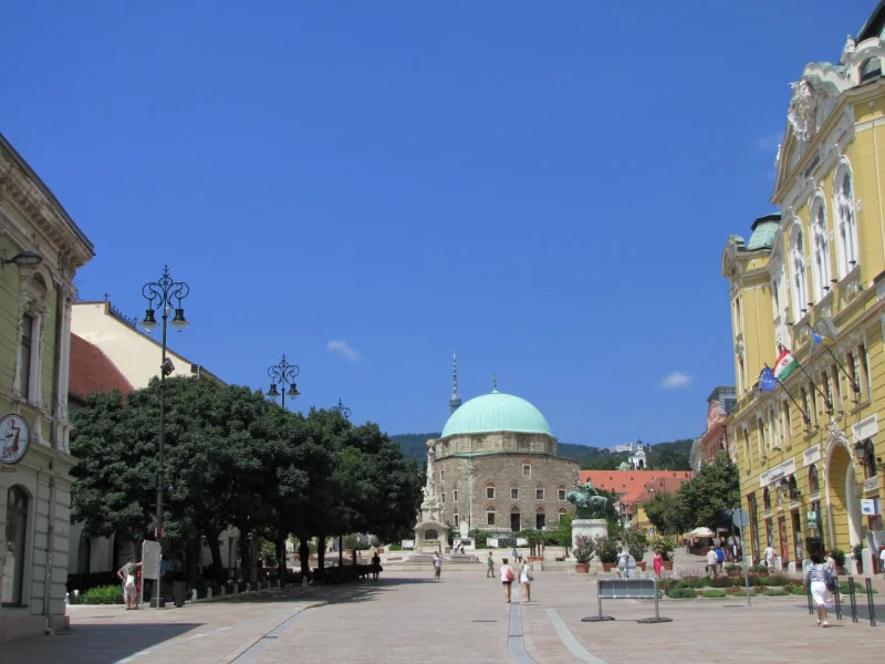 Fraxinus Ornus Mecsek 1